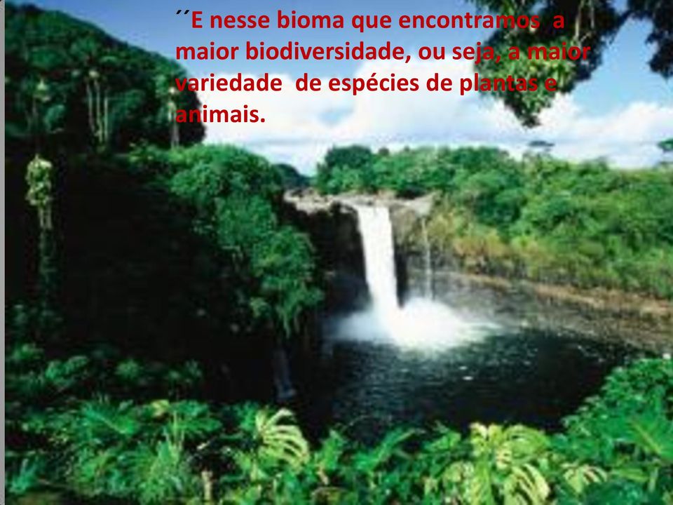 biodiversidade, ou seja, a