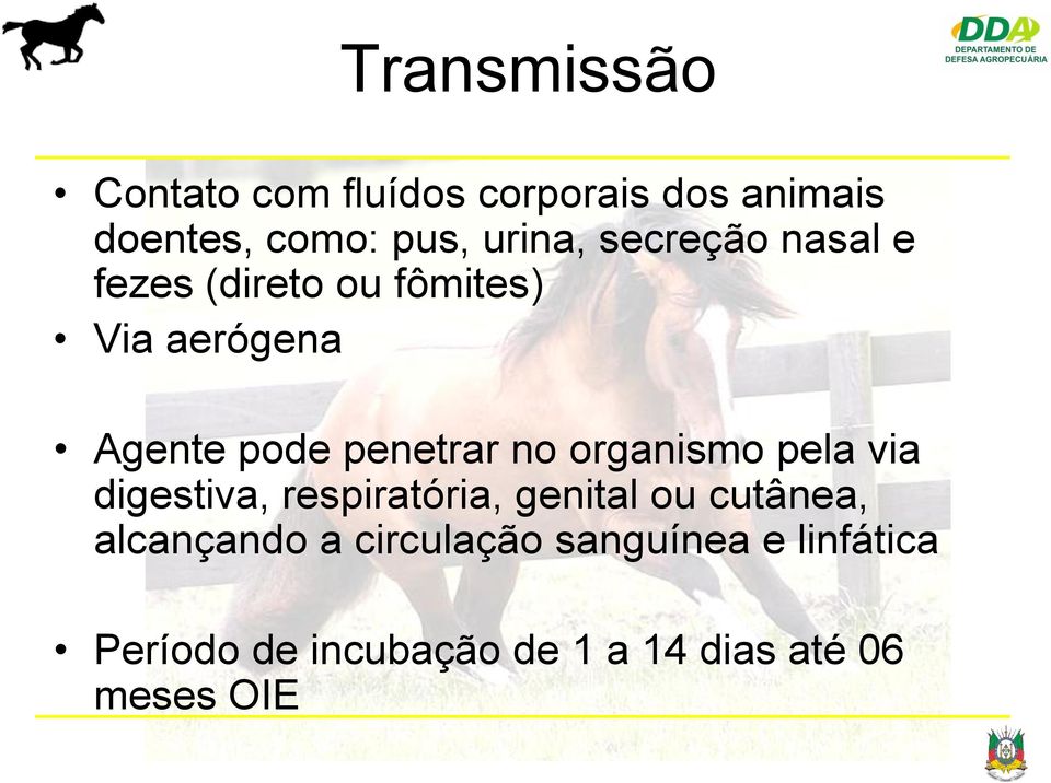 organismo pela via digestiva, respiratória, genital ou cutânea, alcançando a