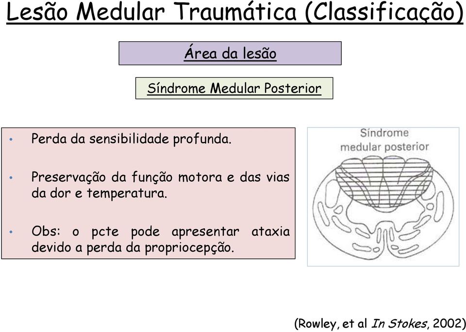 Preservação da função motora e das vias da dor e temperatura.