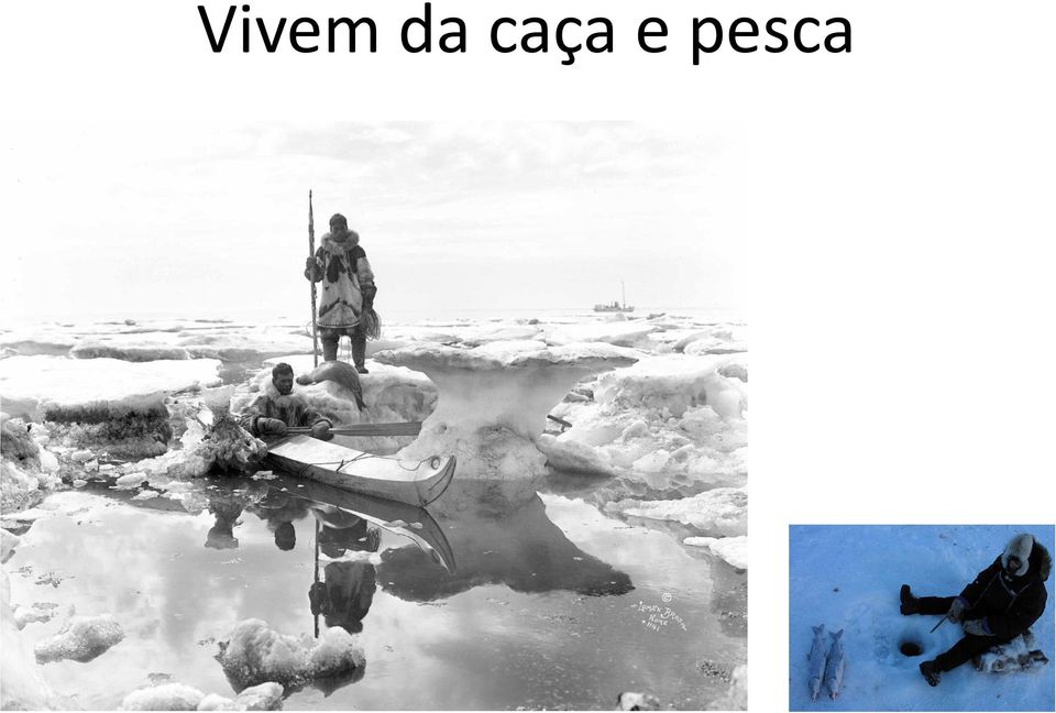 pesca