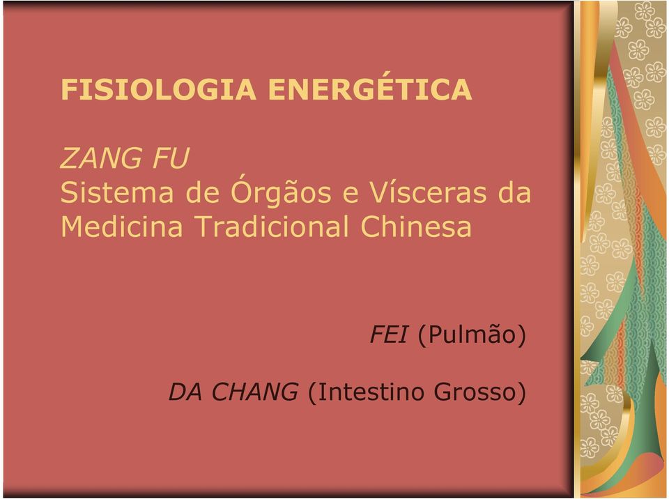 Medicina Tradicional Chinesa