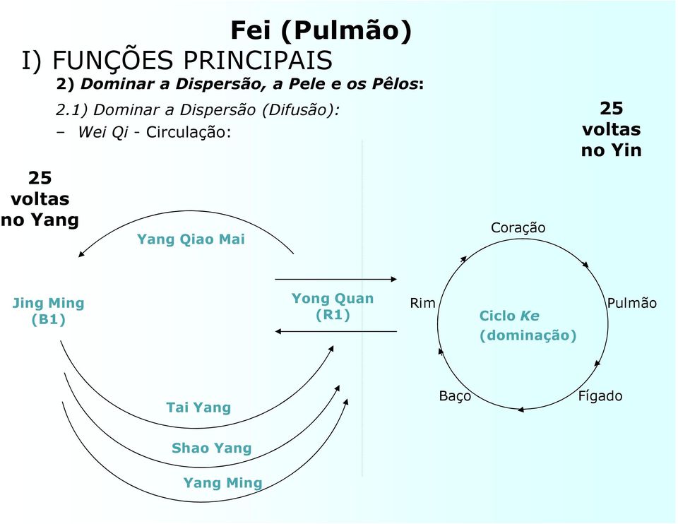 Yin 25 voltas no Yang Yang Qiao Mai Coração Jing Ming (B1) Yong Quan