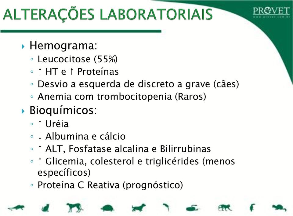 Uréia Albumina e cálcio ALT, Fosfatase alcalina e Bilirrubinas Glicemia,