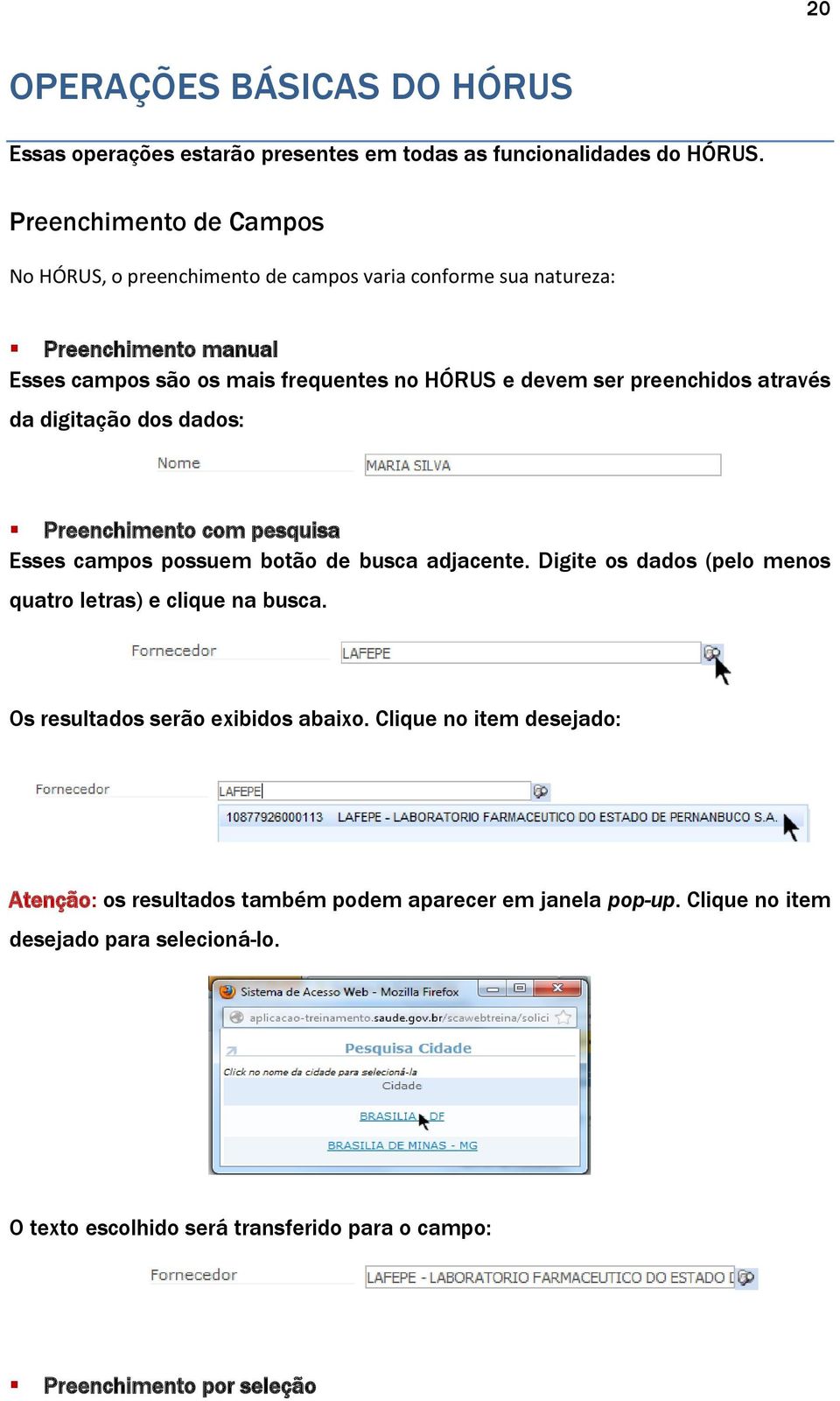 preenchidos através da digitação dos dados: Preenchimento com pesquisa Esses campos possuem botão de busca adjacente.