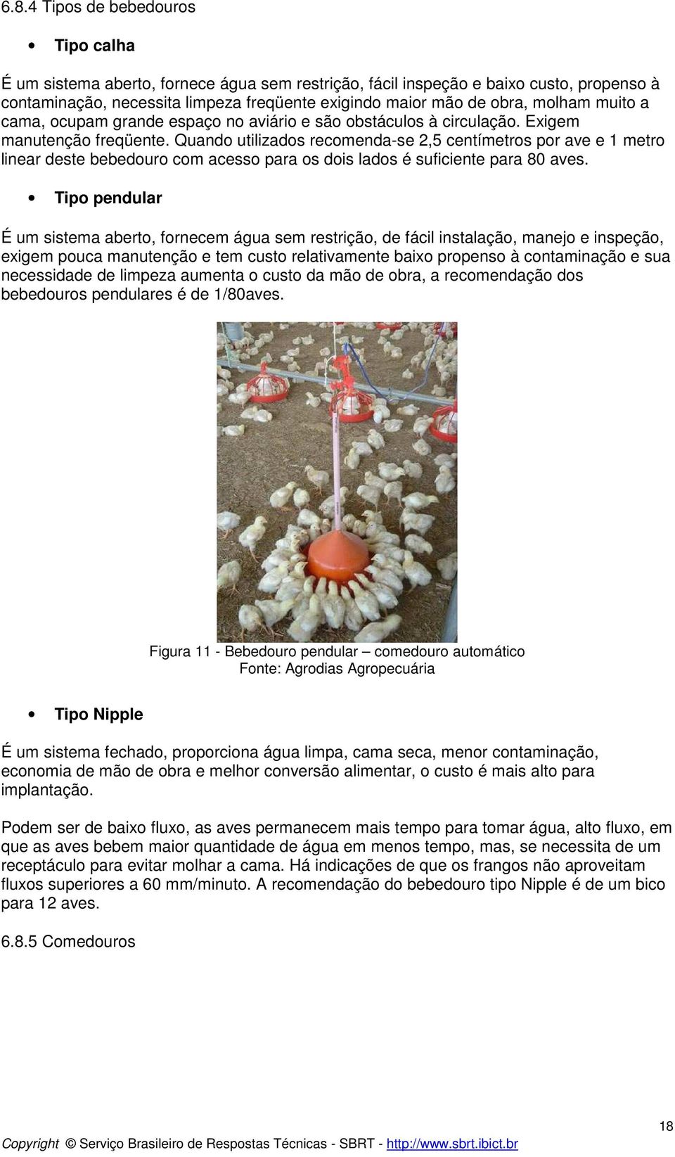 Quando utilizados recomenda-se 2,5 centímetros por ave e 1 metro linear deste bebedouro com acesso para os dois lados é suficiente para 80 aves.