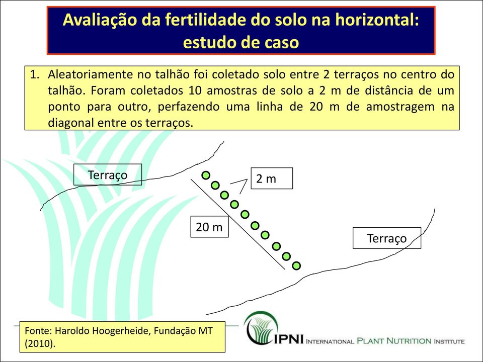 Foram coletados 10 amostras de solo a 2 m de distância de um ponto para outro, perfazendo