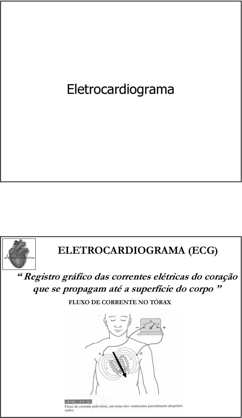 elétricas do coração que se propagam