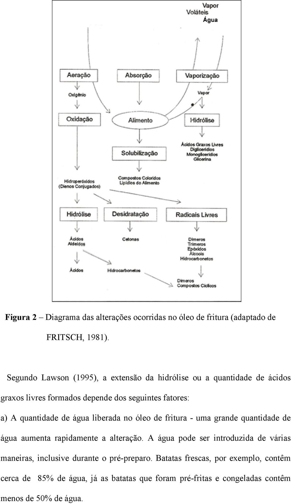 quantidade de água liberada no óleo de fritura - uma grande quantidade de água aumenta rapidamente a alteração.