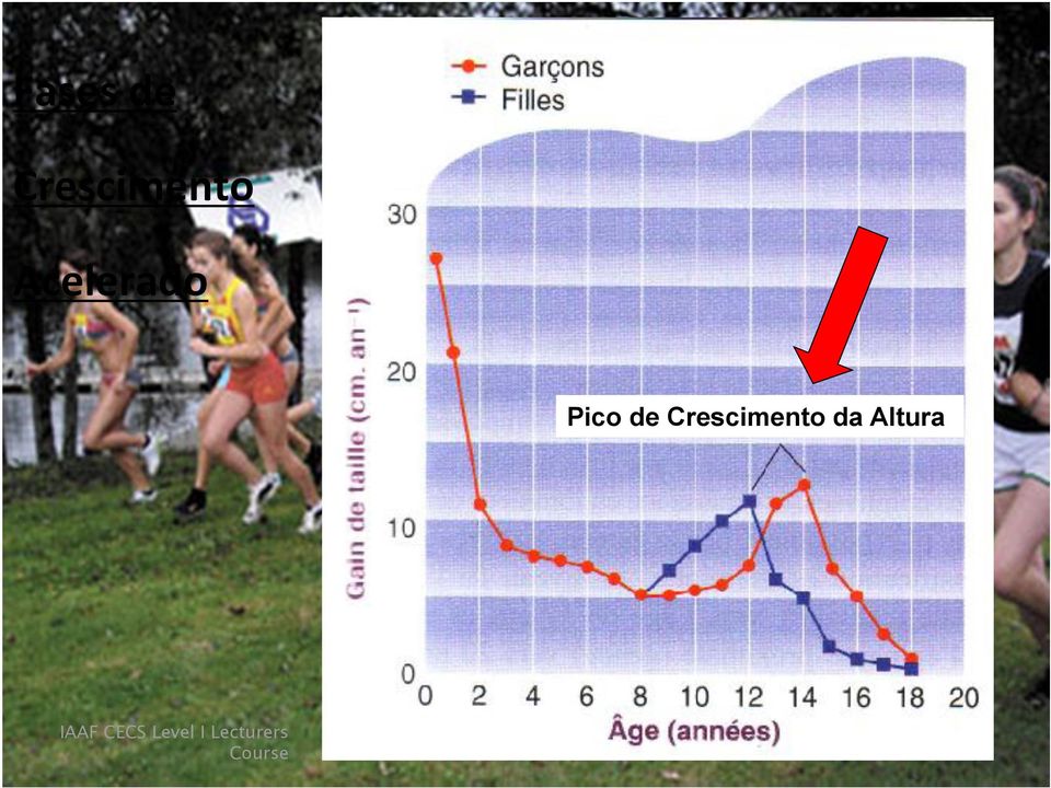 Crescimento da Altura