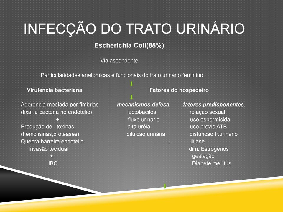 (fixar a bacteria no endotelio) lactobacilos relaçao sexual + fluxo urinário uso espermicida Produção de toxinas alta uréia uso