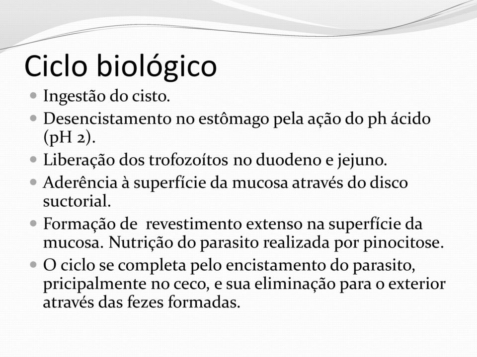 Formação de revestimento extenso na superfície da mucosa. Nutrição do parasito realizada por pinocitose.