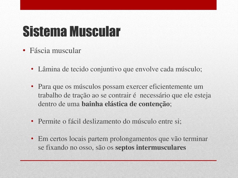 dentro de uma bainha elástica de contenção; Permite o fácil deslizamento do músculo entre si; Em