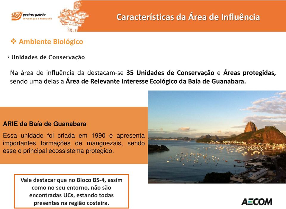 ARIE da Baía de Guanabara Essa unidade foi criada em 1990 e apresenta importantes formações de manguezais, sendo esse o principal