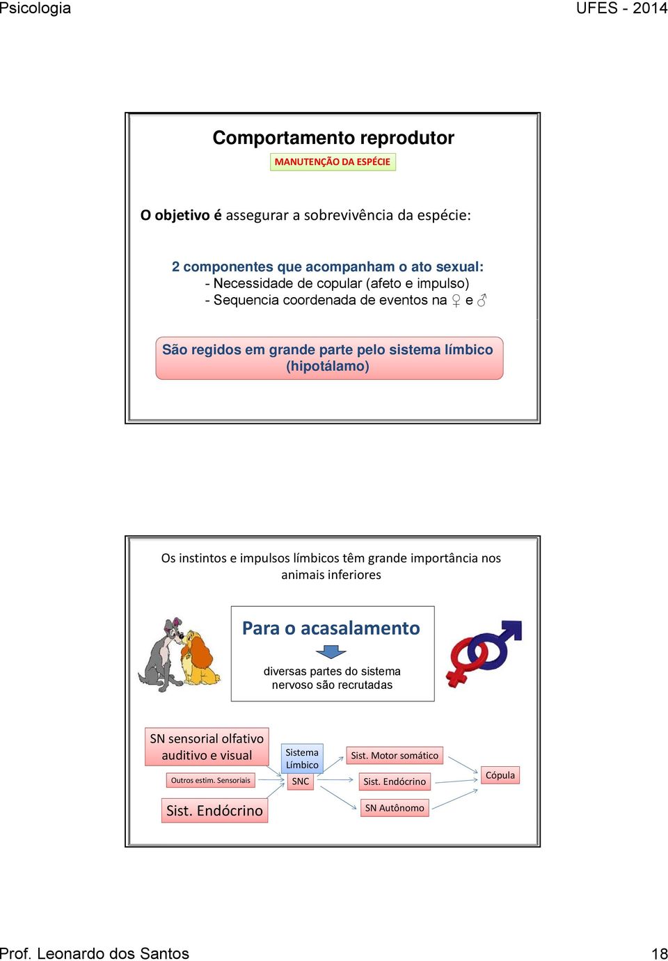 límbicos têm grande importância nos animais inferiores Para o acasalamento diversas partes do sistema nervoso são recrutadas SN sensorial olfativo