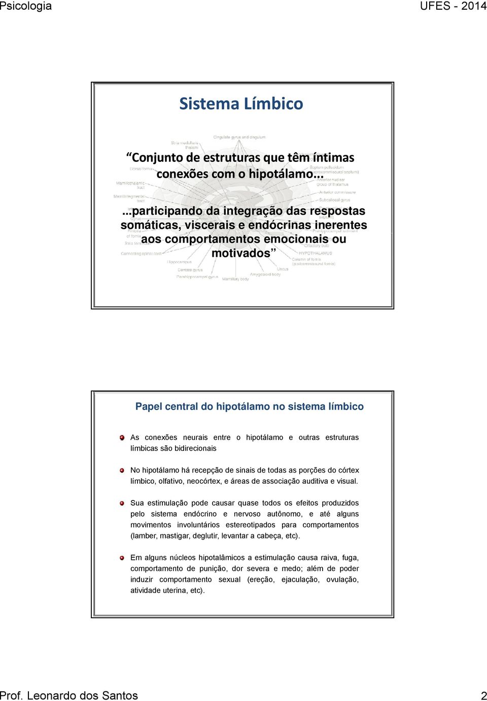 entre o hipotálamo e outras estruturas límbicas são bidirecionais No hipotálamo há recepção de sinais de todas as porções do córtex límbico, olfativo, neocórtex, e áreas de associação auditiva e