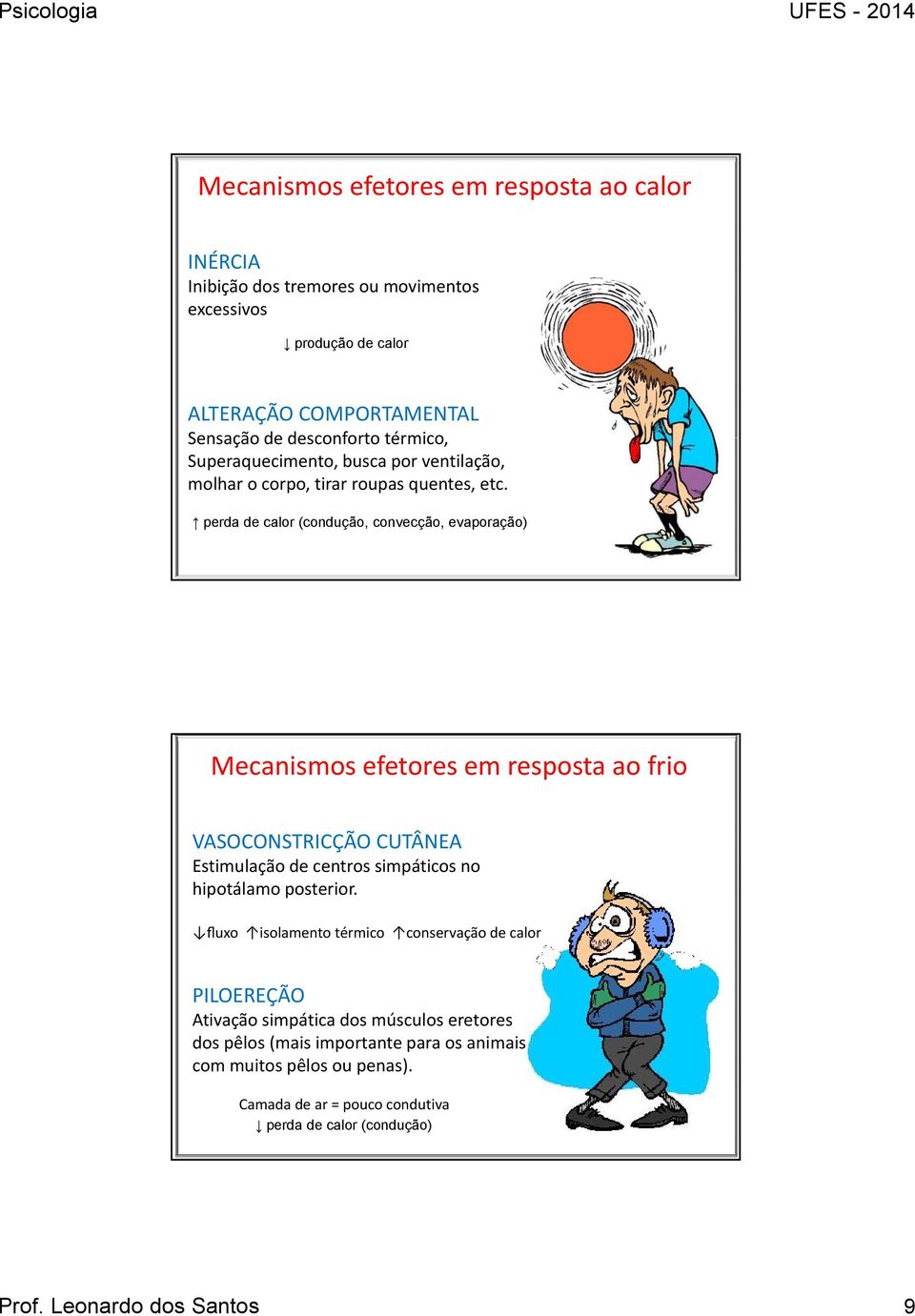 perda de calor (condução, convecção, evaporação) Mecanismos efetores em resposta ao frio VASOCONSTRICÇÃO CUTÂNEA Estimulação de centros simpáticos no hipotálamo