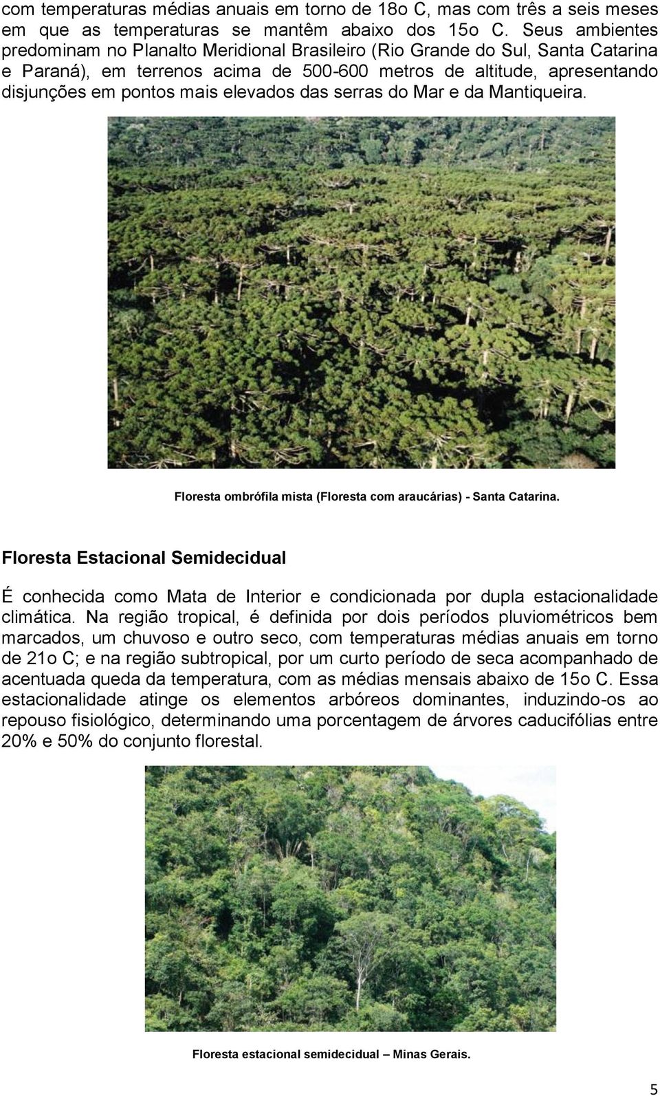 elevados das serras do Mar e da Mantiqueira. Floresta ombrófila mista (Floresta com araucárias) - Santa Catarina.