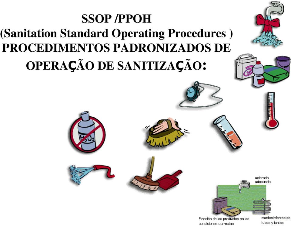 Procedures ) PROCEDIMENTOS