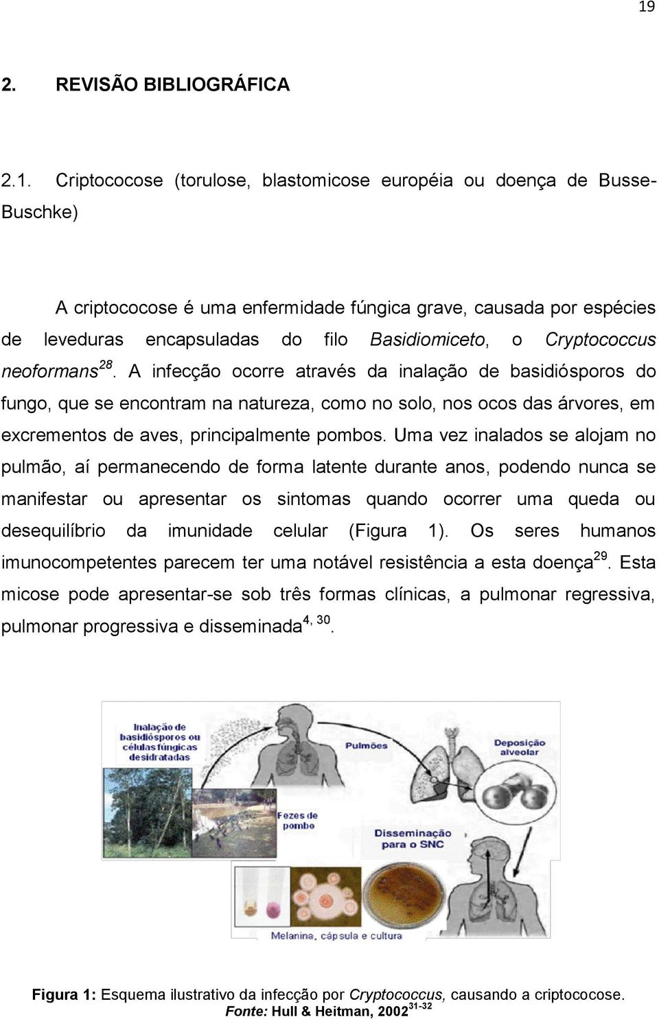 A infecção ocorre através da inalação de basidiósporos do fungo, que se encontram na natureza, como no solo, nos ocos das árvores, em excrementos de aves, principalmente pombos.