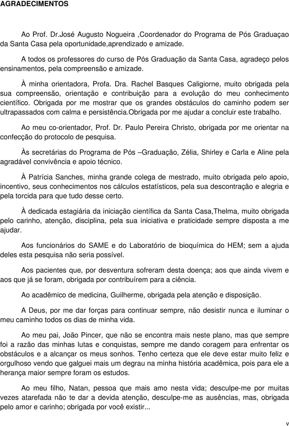 Rachel Basques Caligiorne, muito obrigada pela sua compreensão, orientação e contribuição para a evolução do meu conhecimento científico.