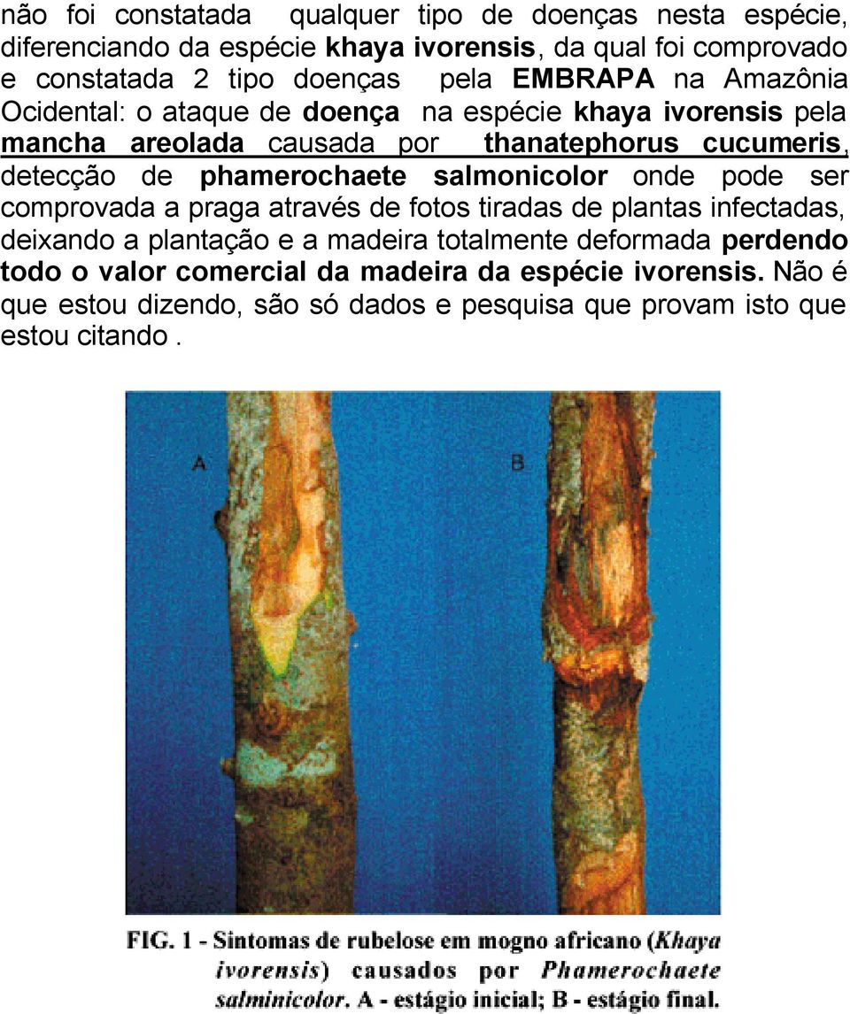 phamerochaete salmonicolor onde pode ser comprovada a praga através de fotos tiradas de plantas infectadas, deixando a plantação e a madeira totalmente