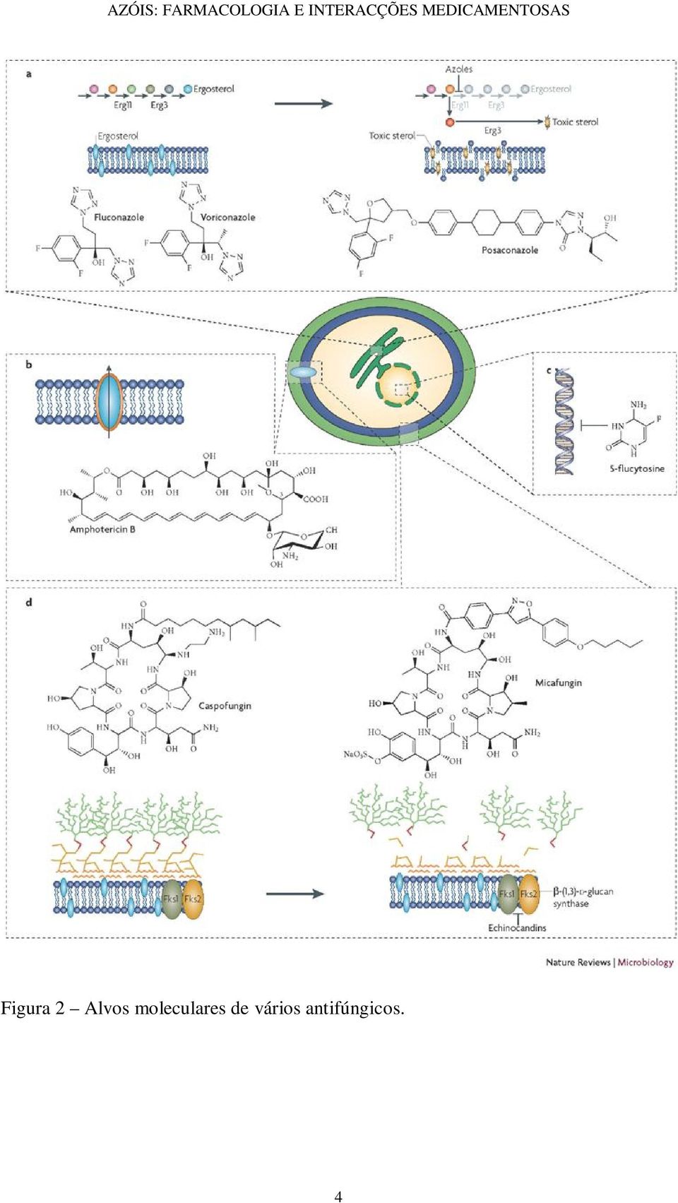 moleculares