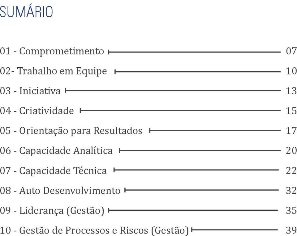 07 - Capacidade Técnica 08 - Auto Desenvolvimento 09 - Liderança