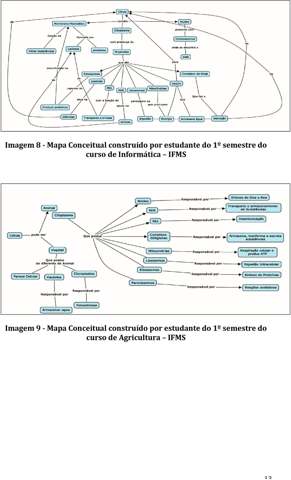 IFMS Imagem 9 - Mapa Conceitual construído por