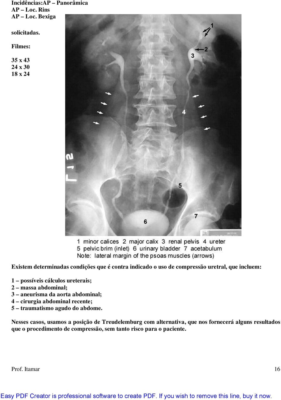 possíveis cálculos ureterais; 2 massa abdominal; 3 aneurisma da aorta abdominal; 4 cirurgia abdominal recente; 5 traumatismo agudo