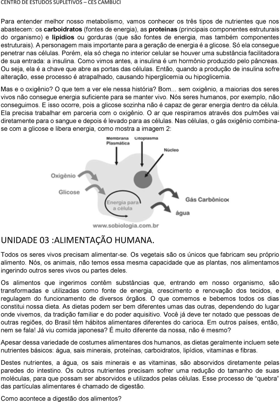 Só ela consegue penetrar nas células. Porém, ela só chega no interior celular se houver uma substância facilitadora de sua entrada: a insulina.