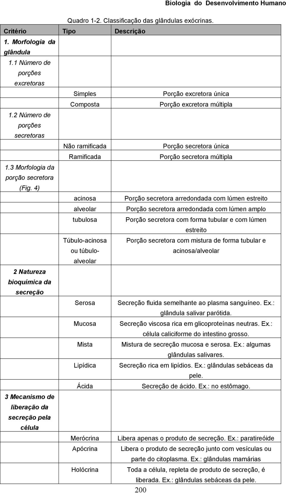 2 Número de porções secretoras Não ramificada Porção secretora única Ramificada Porção secretora múltipla 1.3 Morfologia da porção secretora (Fig.