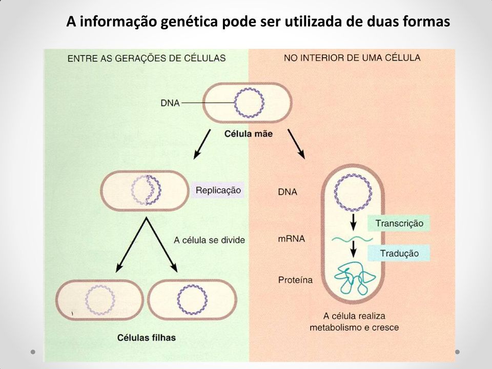 ser utilizada