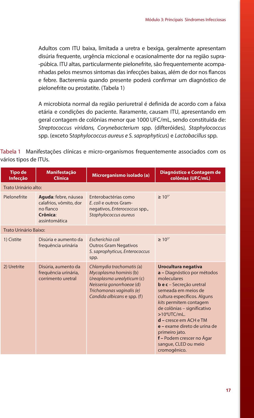 Bacteremia quando presente poderá confirmar um diagnóstico de pielonefrite ou prostatite.