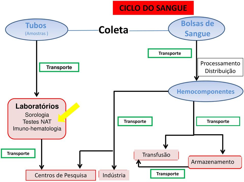 NAT Imuno-hematologia Transporte Hemocomponentes Transporte