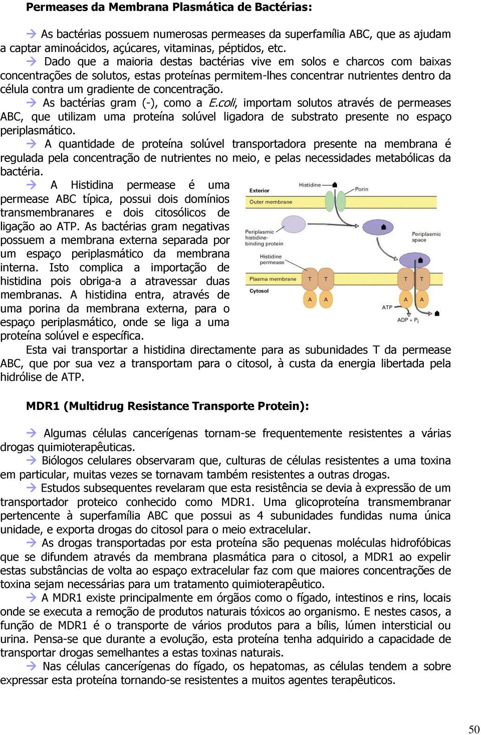 concentração. As bactérias gram (-), como a E.coli, importam solutos através de permeases ABC, que utilizam uma proteína solúvel ligadora de substrato presente no espaço periplasmático.