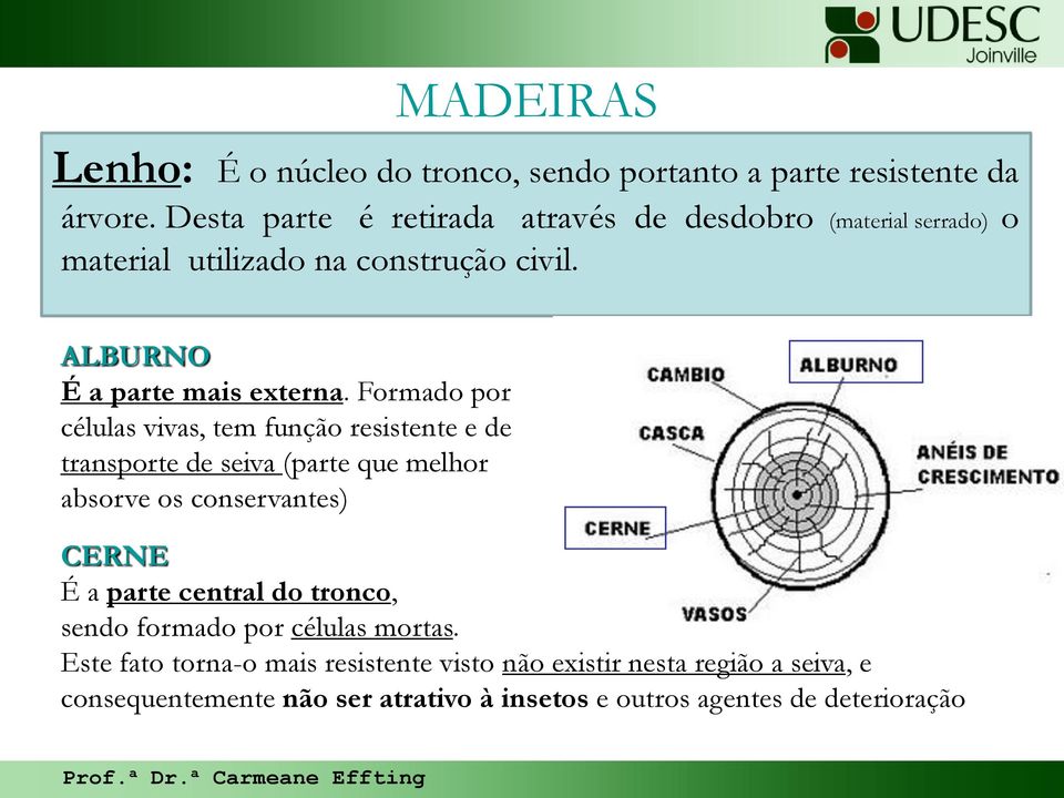 Formado por células vivas, tem função resistente e de transporte de seiva (parte que melhor absorve os conservantes) CERNE É a parte