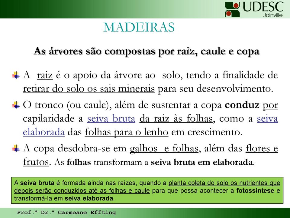 O tronco (ou caule), além de sustentar a copa conduz por capilaridade a seiva bruta da raiz às folhas, como a seiva elaborada das folhas para o lenho em crescimento.