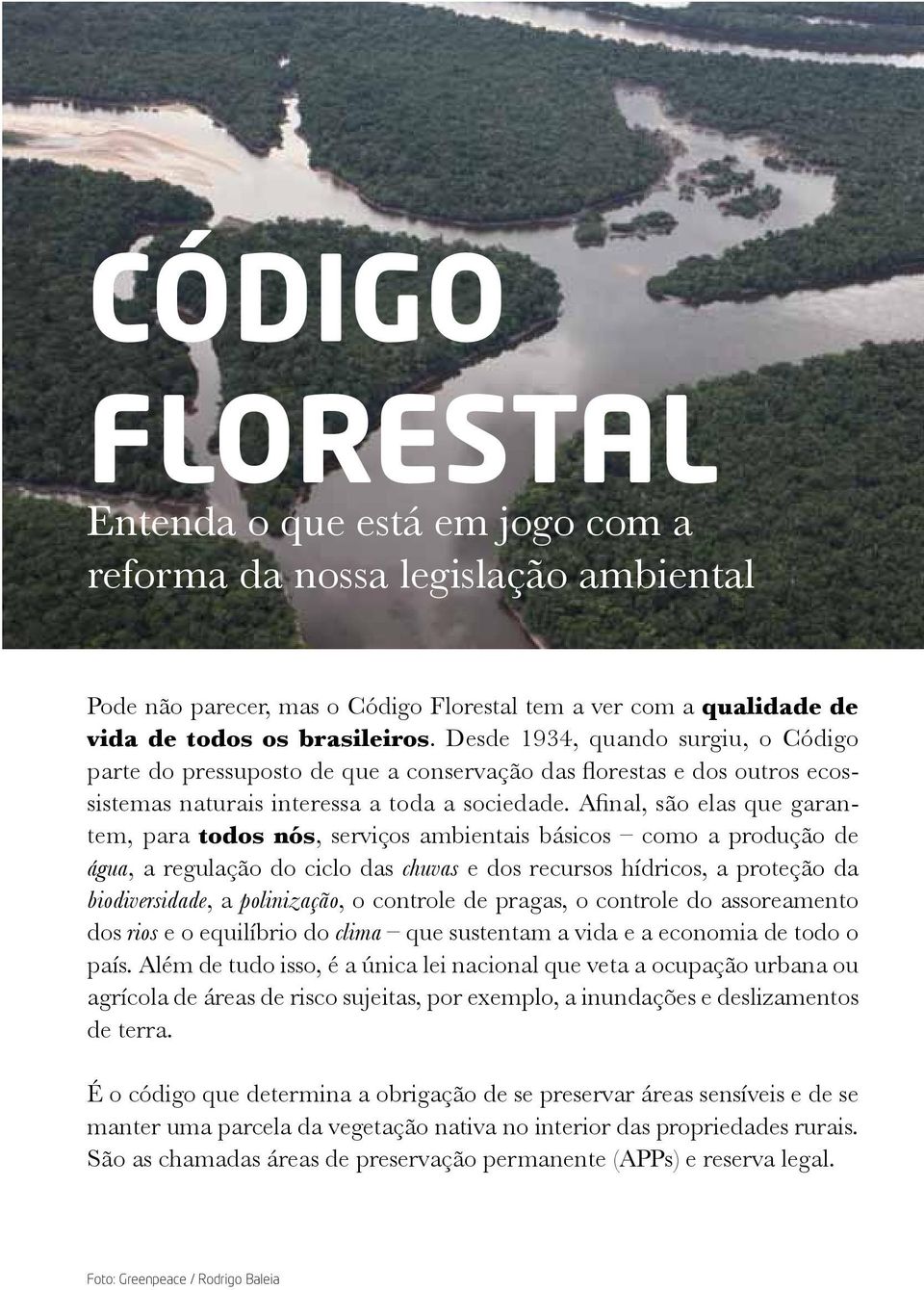 Afinal, são elas que garantem, para todos nós, serviços ambientais básicos como a produção de água, a regulação do ciclo das chuvas e dos recursos hídricos, a proteção da biodiversidade, a