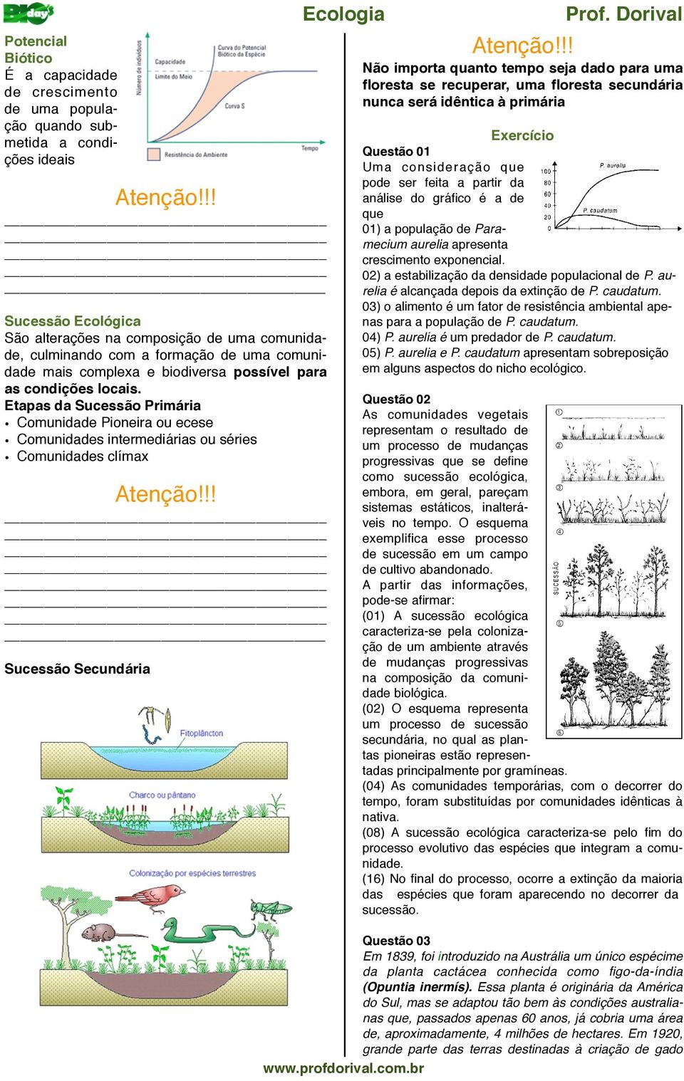 Comunidade Pioneira ou ecese Comunidades intermediárias ou séries Comunidades clímax Sucessão Secundária Não importa quanto tempo seja dado para uma floresta se recuperar, uma floresta secundária