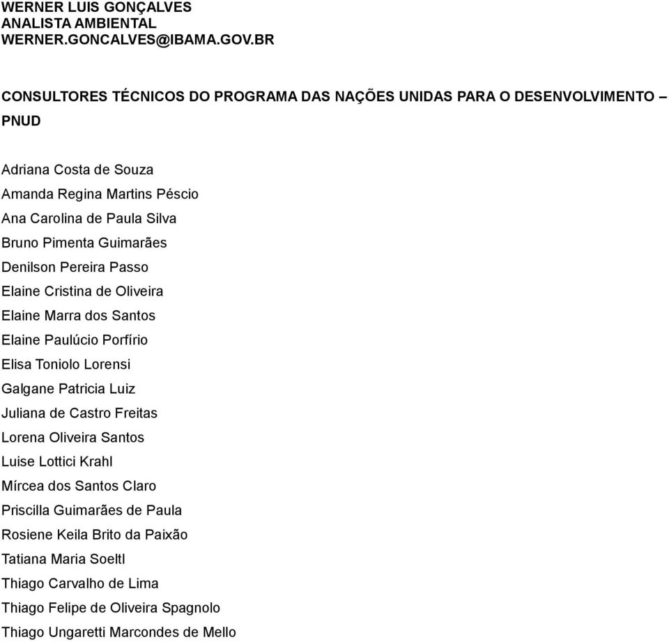 Bruno Pimenta Guimarães Denilson Pereira Passo Elaine Cristina de Oliveira Elaine Marra dos Santos Elaine Paulúcio Porfírio Elisa Toniolo Lorensi Galgane Patricia