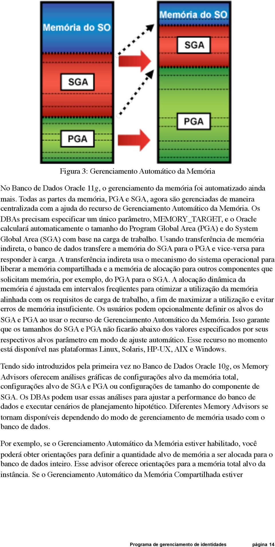 Os DBAs precisam especificar um único parâmetro, MEMORY_TARGET, e o Oracle calculará automaticamente o tamanho do Program Global Area (PGA) e do System Global Area (SGA) com base na carga de trabalho.