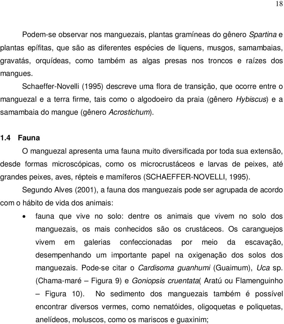 Schaeffer-Novelli (1995) descreve uma flora de transição, que ocorre entre o manguezal e a terra firme, tais como o algodoeiro da praia (gênero Hybiscus) e a samambaia do mangue (gênero Acrostichum).