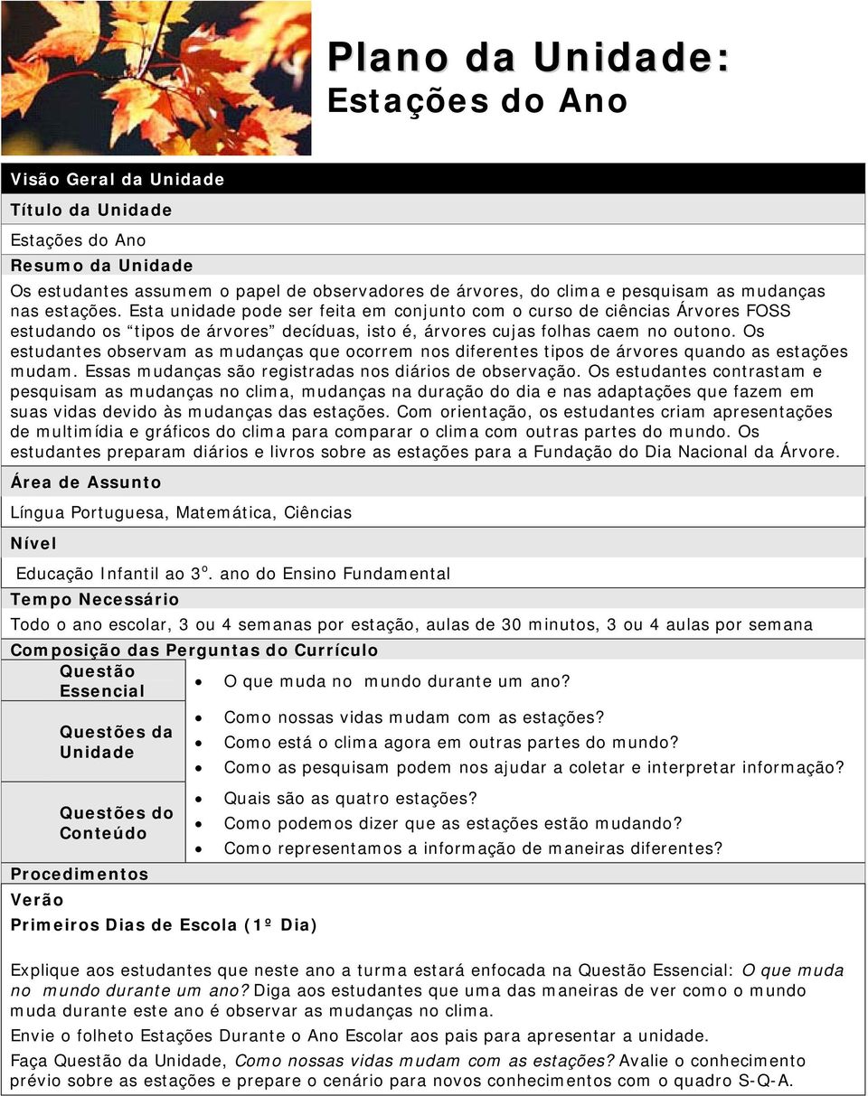 Os estudantes observam as mudanças que ocorrem nos diferentes tipos de árvores quando as estações mudam. Essas mudanças são registradas nos diários de observação.