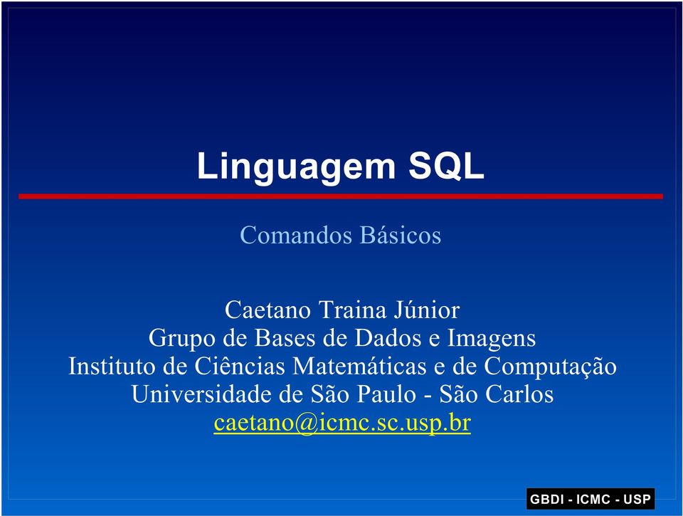 Instituto de Ciências Matemáticas e de Computação