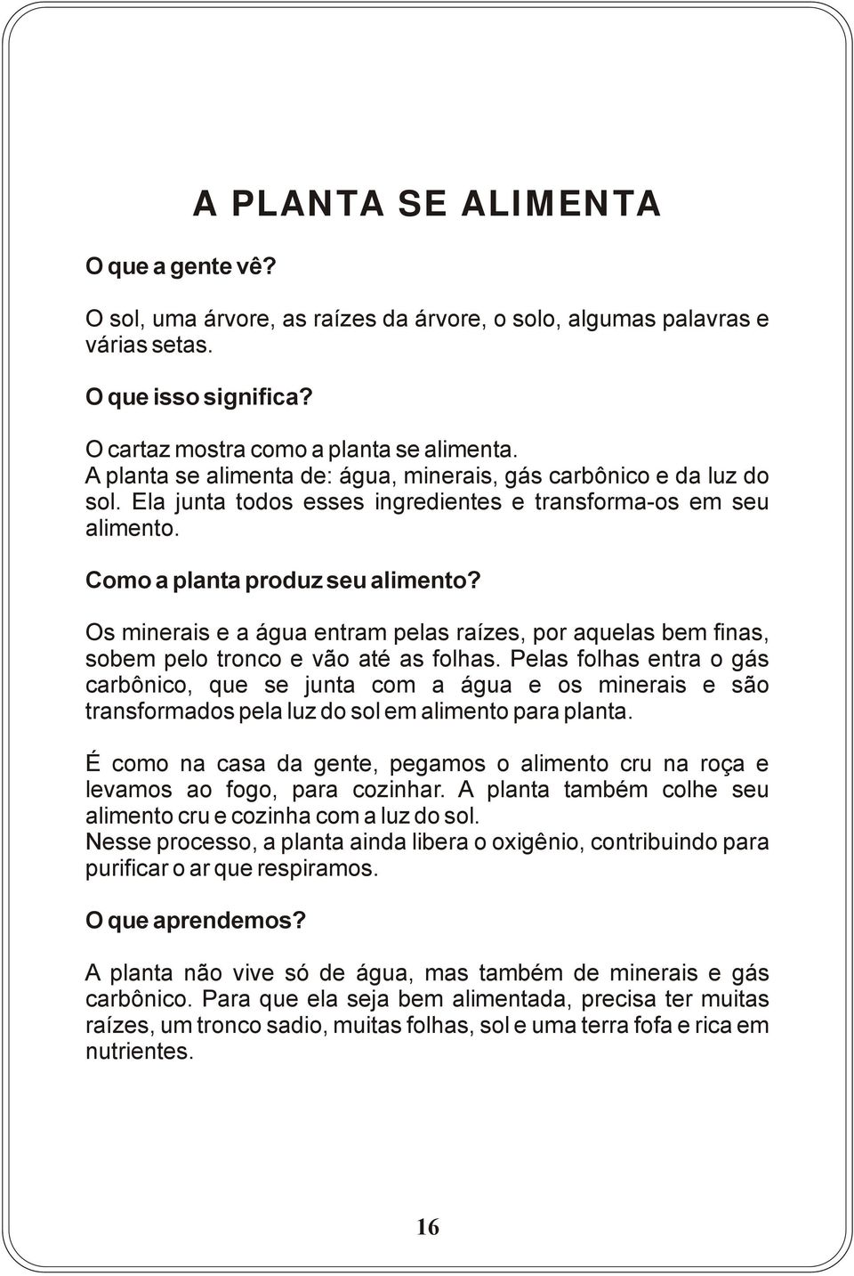 Os minerais e a água entram pelas raízes, por aquelas bem finas, sobem pelo tronco e vão até as folhas.