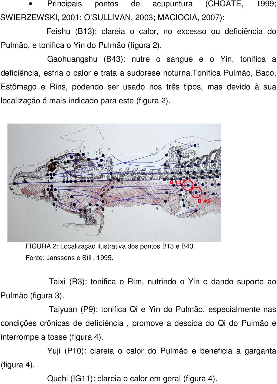 tonifica Pulmão, Baço, Estômago e Rins, podendo ser usado nos três tipos, mas devido à sua localização é mais indicado para este (figura 2). FIGURA 2: Localização ilustrativa dos pontos B13 e B43.