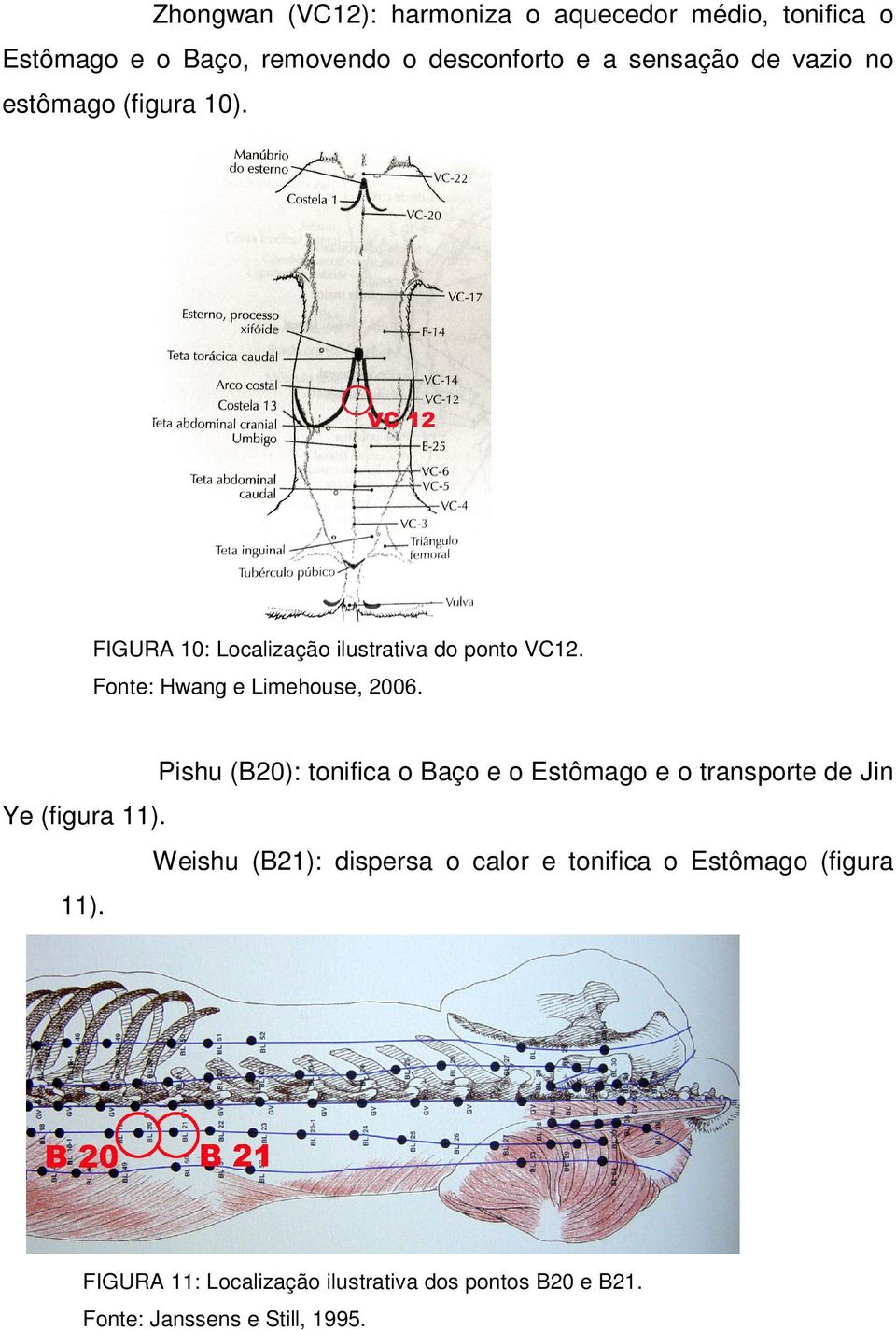 Pishu (B20): tonifica o Baço e o Estômago e o transporte de Jin Ye (figura 11).