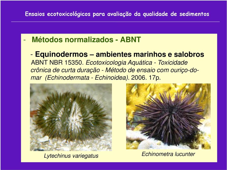 Ecotoxicologia Aquática - Toxicidade crônica de curta duração - Método de ensaio com