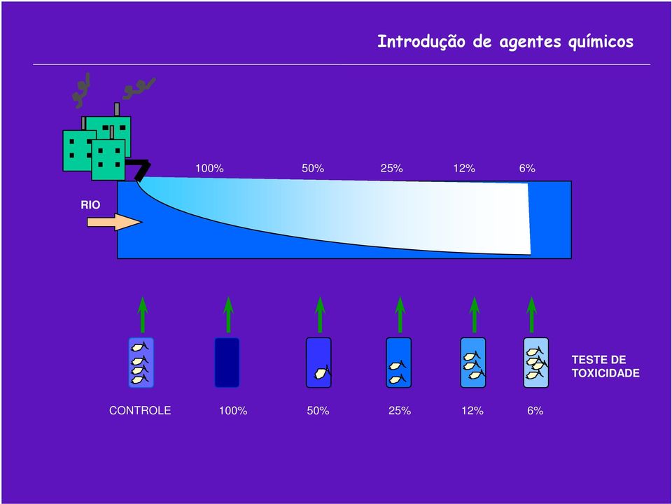 6% RIO TESTE DE