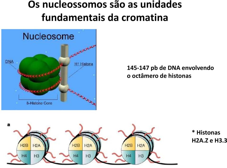 pb de DNA envolvendo o octâmero